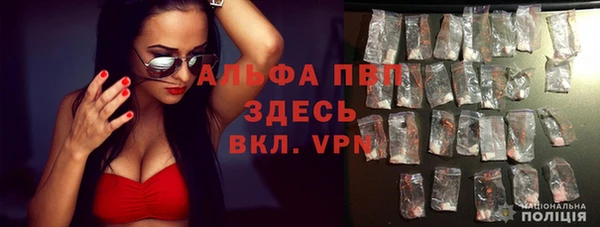 стафф Абаза