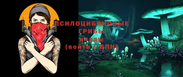 амф Протвино