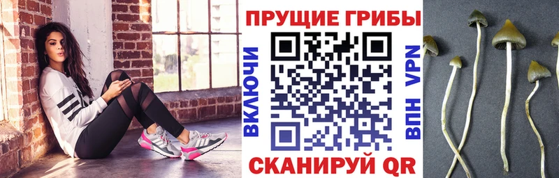 Галлюциногенные грибы мухоморы  Нариманов 